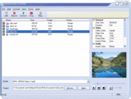 aSkysoft Video Converter screenshot